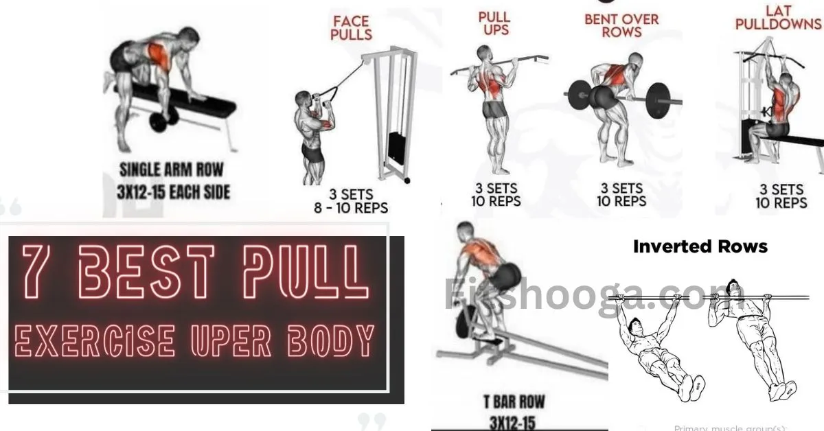 Pull Exercises Upper Body