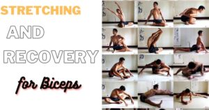 Stretching and Recovery for Biceps