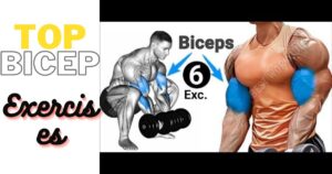 Top Bicep Exercises