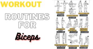 Workout Routines for Biceps 