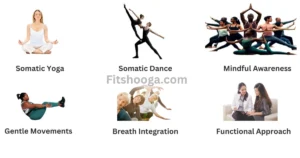 Key concepts of somatic exercises